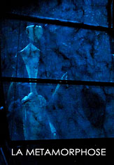 LA METAMORPHOSE